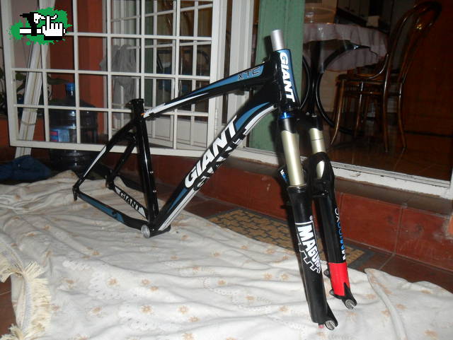 Armando Giant xtc