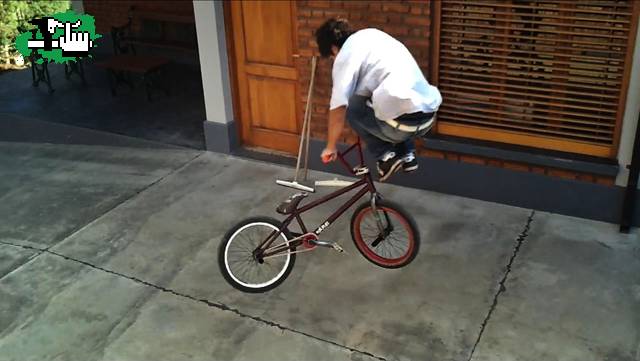 bunny whip