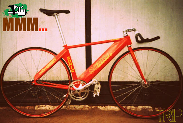 Pista!