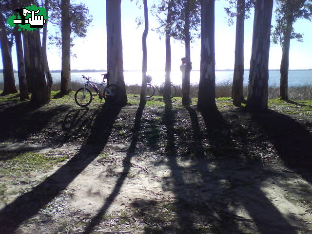 cañuelas abott monte