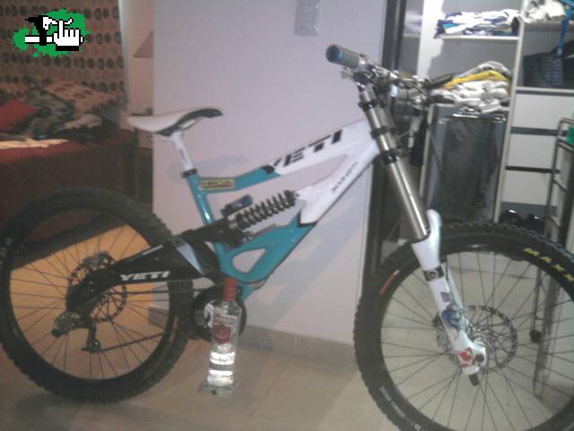 yeti