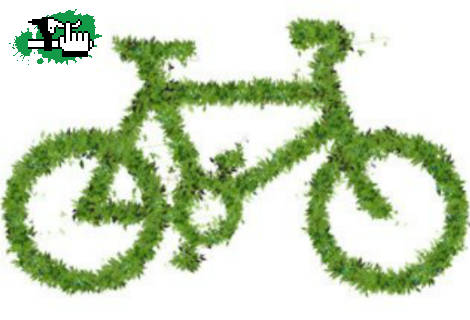 Dia Mundial De La Bicicleta!
