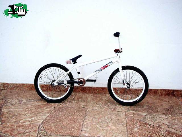 gaston5343476