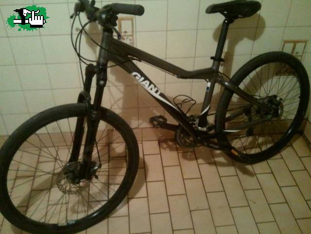 MI NUEVA COMPAÑERA...