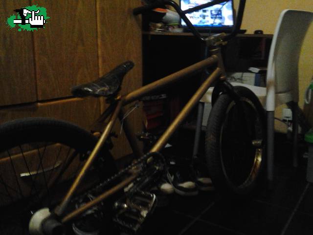 bike chec 2012  