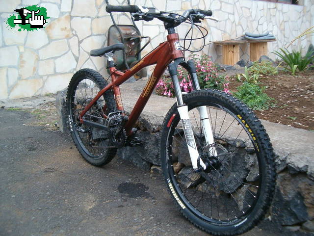 qemi