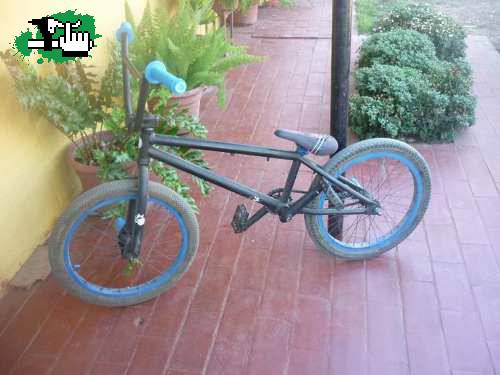 sebax22