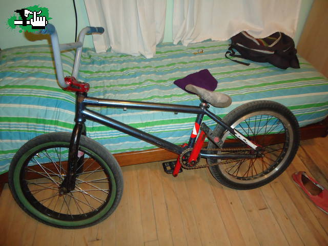 kolt