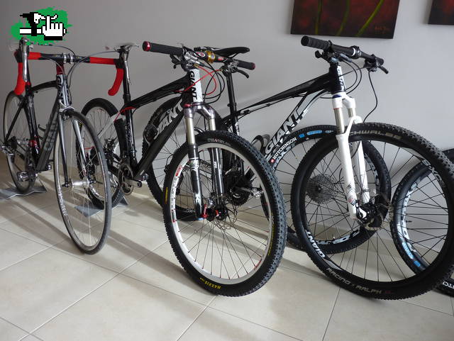 mis 3 amores!!!(29,28y26)