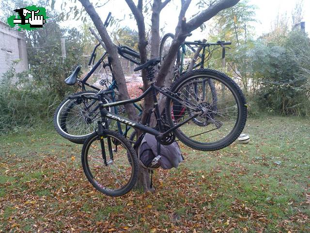 Estacionamiento de bicicletas