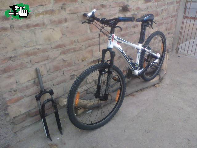 Contento como perro con dos colas!