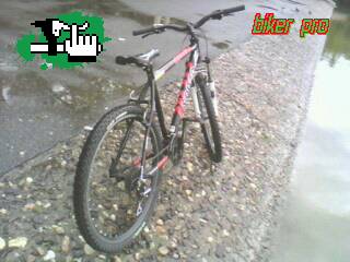 la fieraa