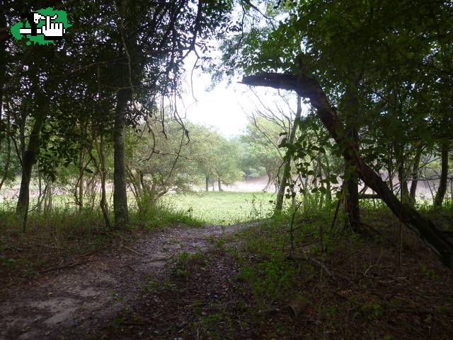 Las Palmeritas en Makalle