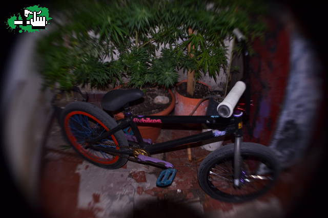 Mi Cleta