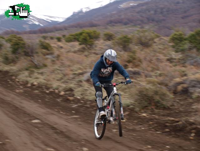 ENTRENANDO EL MAITEN
