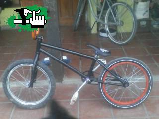 bautibmx10