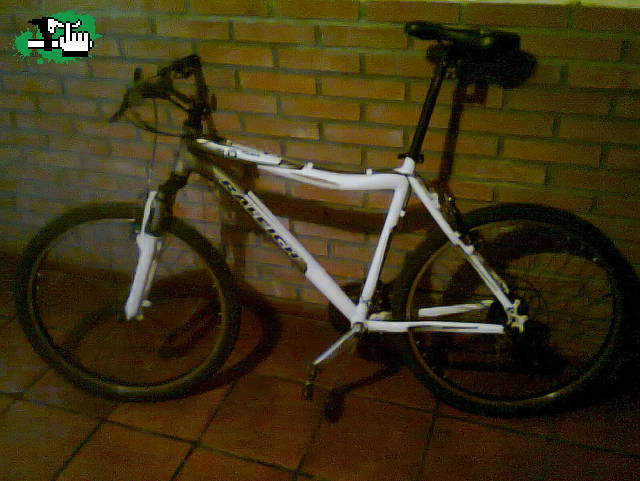 RAleigh mojave 2.0