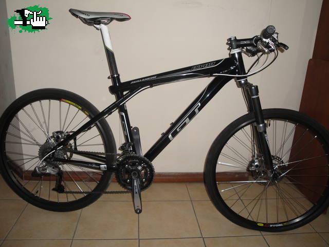 tiburon7