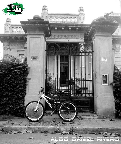 CLASICA