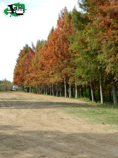 Volviendo al Paraná