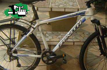 valed73