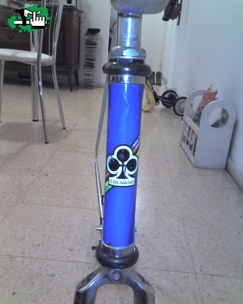 Proyecto COLNAGO