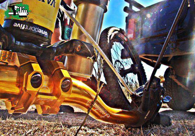 loaded a full