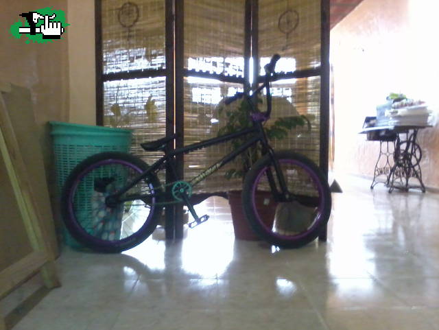 bmx chek