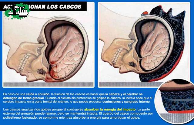 Asi funcionan los cascos de Ciclismo.