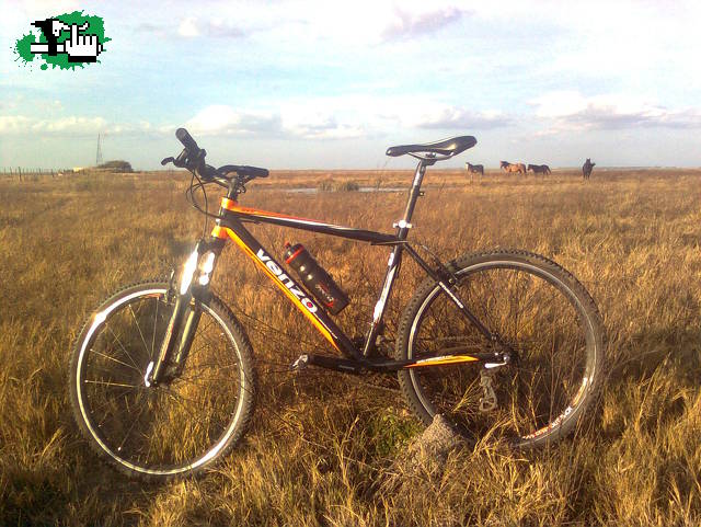 RURAL CON PALO INCLUIDO