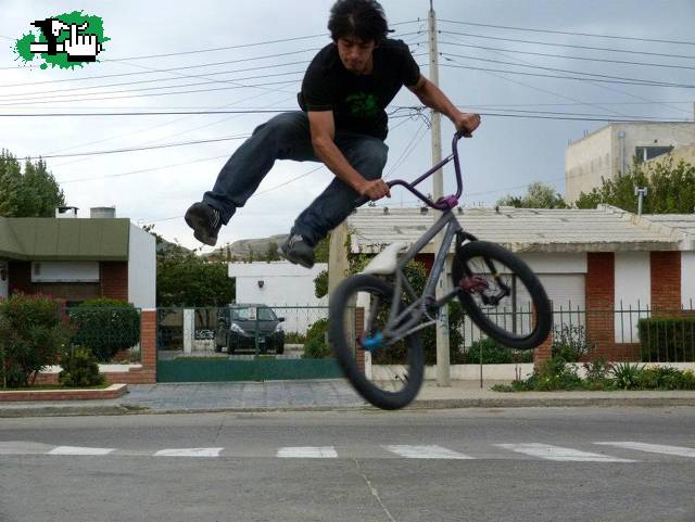tailwhip
