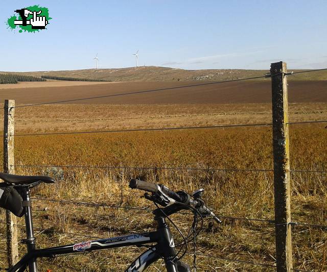 molinos de viento
