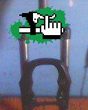 Fede_carp