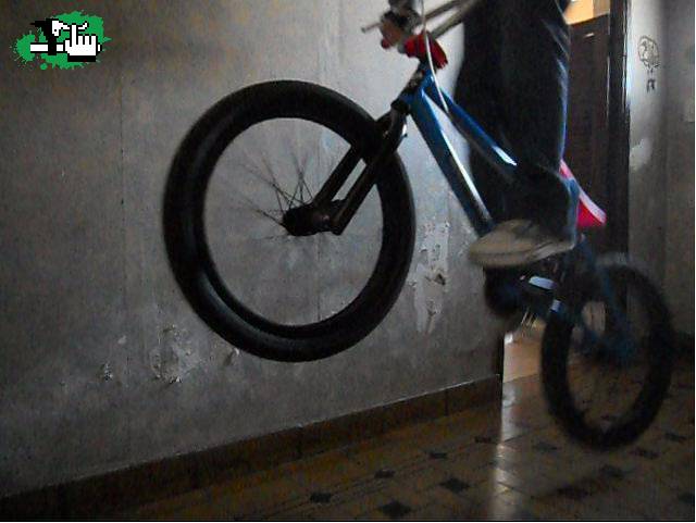 mi primer bunny hop