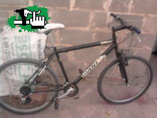 permuto bici de montaña por bicicleta de ruta