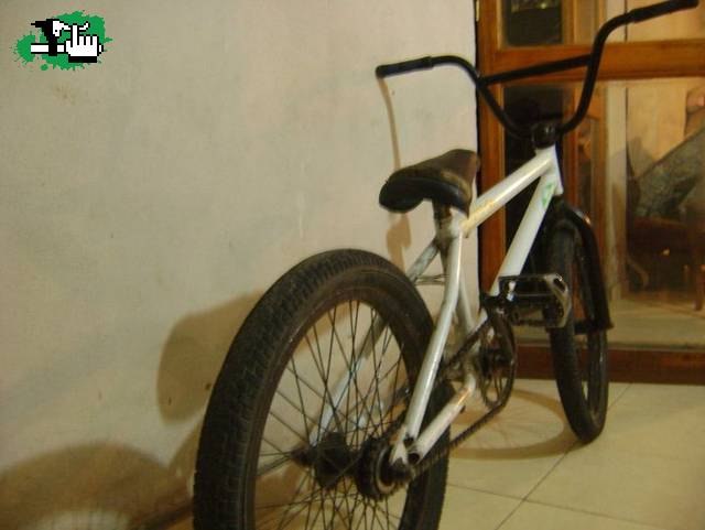 brandonbmx15_street