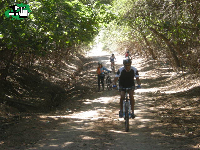 SAN PEDRO - RAMALLO - SAN PEDRO (Bs. As.) 