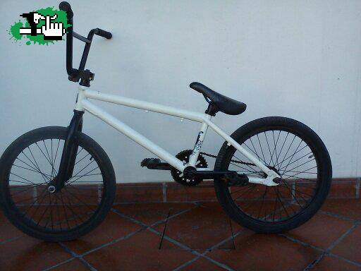 Martin15