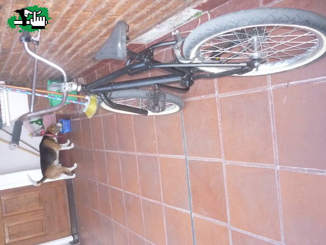 MarianoLiito19
