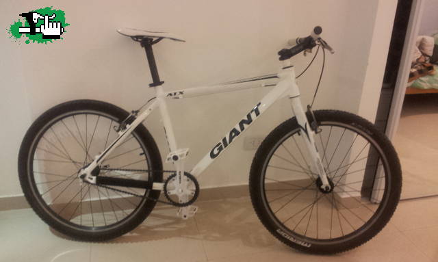 Mi mtb Fixie