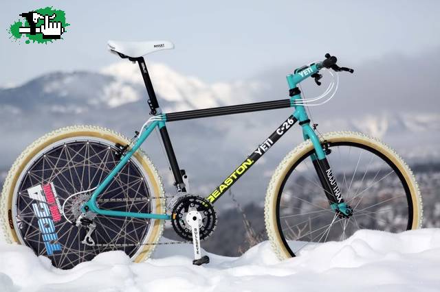 Abominable hombre de las nieves... o YETI