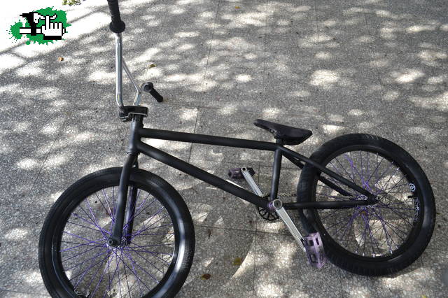pedonitobmx