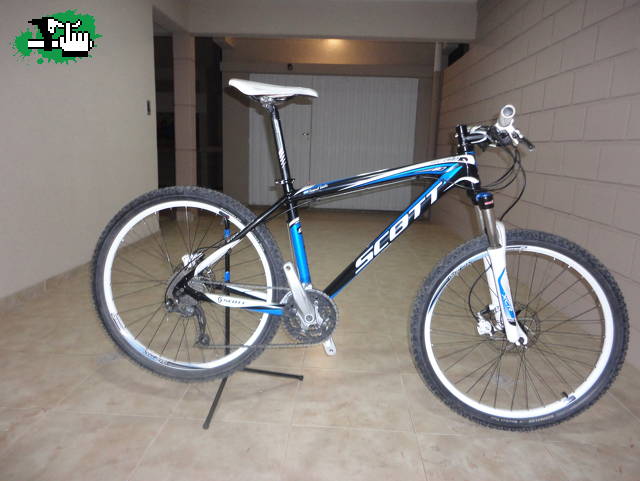 scott scale 80 2011