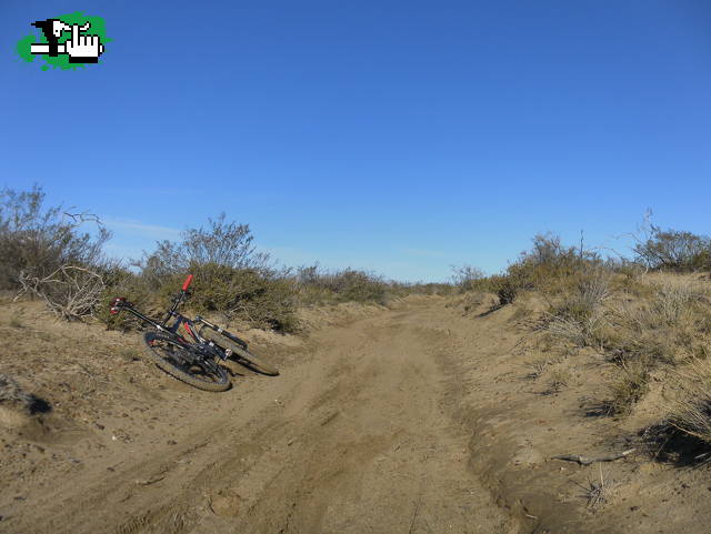 Parte de la carrera....