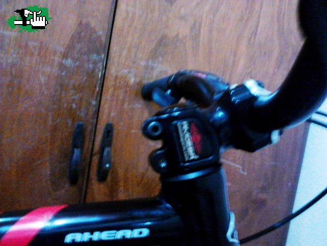 nuevo stem :)