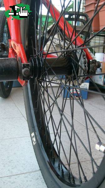 Chek_GT