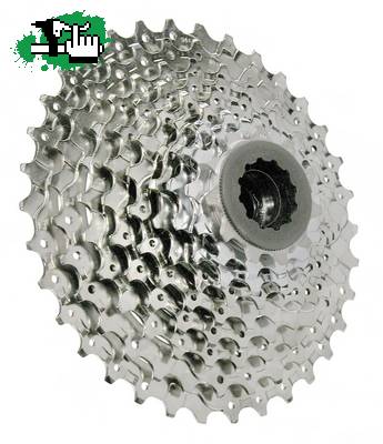 gus6061