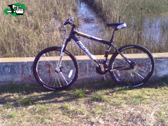 lindo dia 