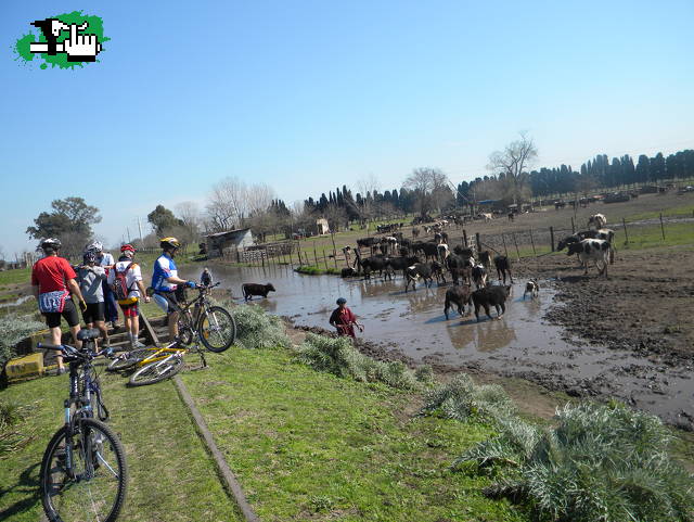SALIDA A 20 DE DE JUNIO