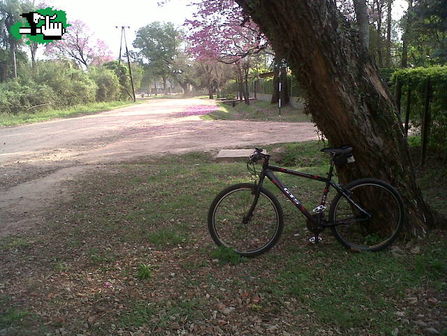 Dominguero